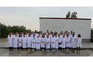 在校学生在公司大合照