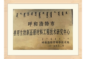 呼和浩特市上面工程研究中心